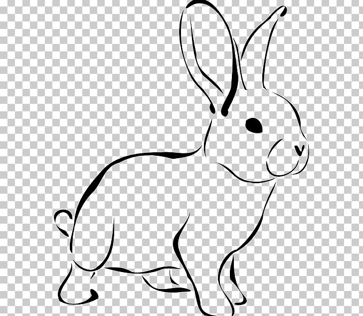 clipart ear white rabbit