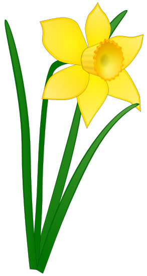 Free easter flowers cliparts. Daffodil clipart lily