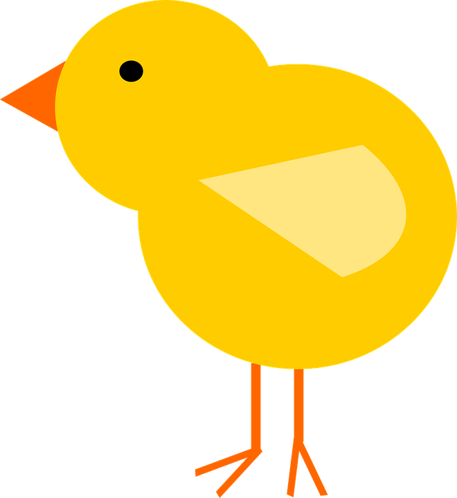 pet clipart yellow bird