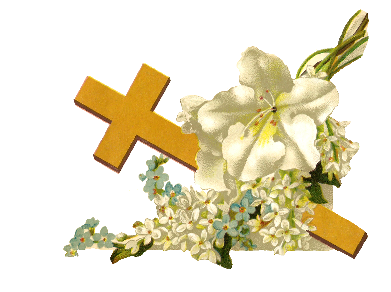 floral clipart cross