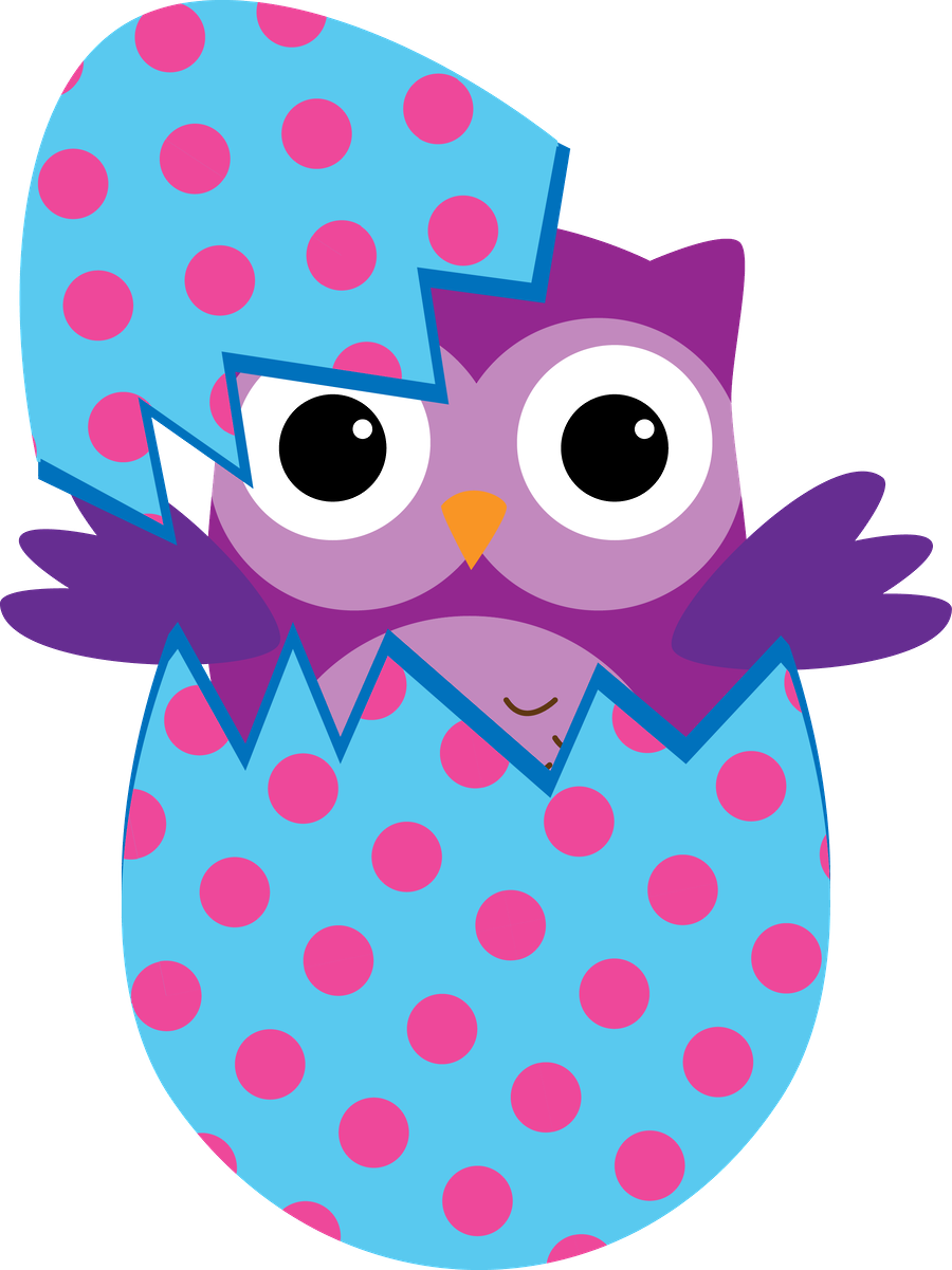 clipart easter owl