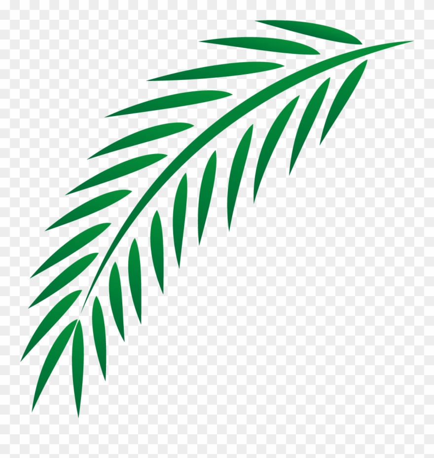 Palm clipart easter. Euclidean leaves transprent branch
