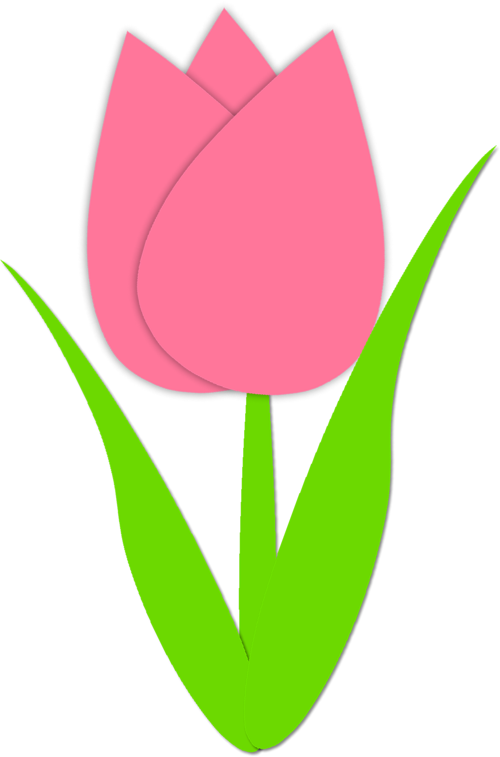 Simple tulip outline spring. Zucchini clipart marrow