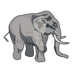 Clipart elephant body. Full profile of large