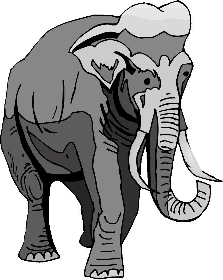 Elephants songkran