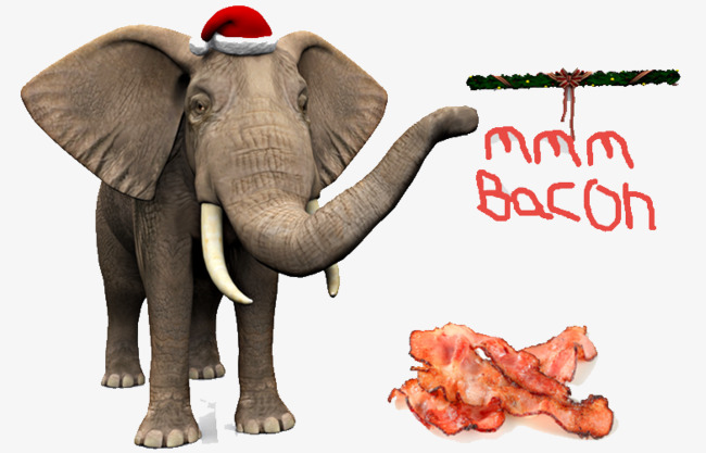 elephant clipart food