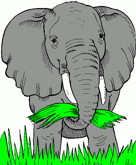 elephants clipart food