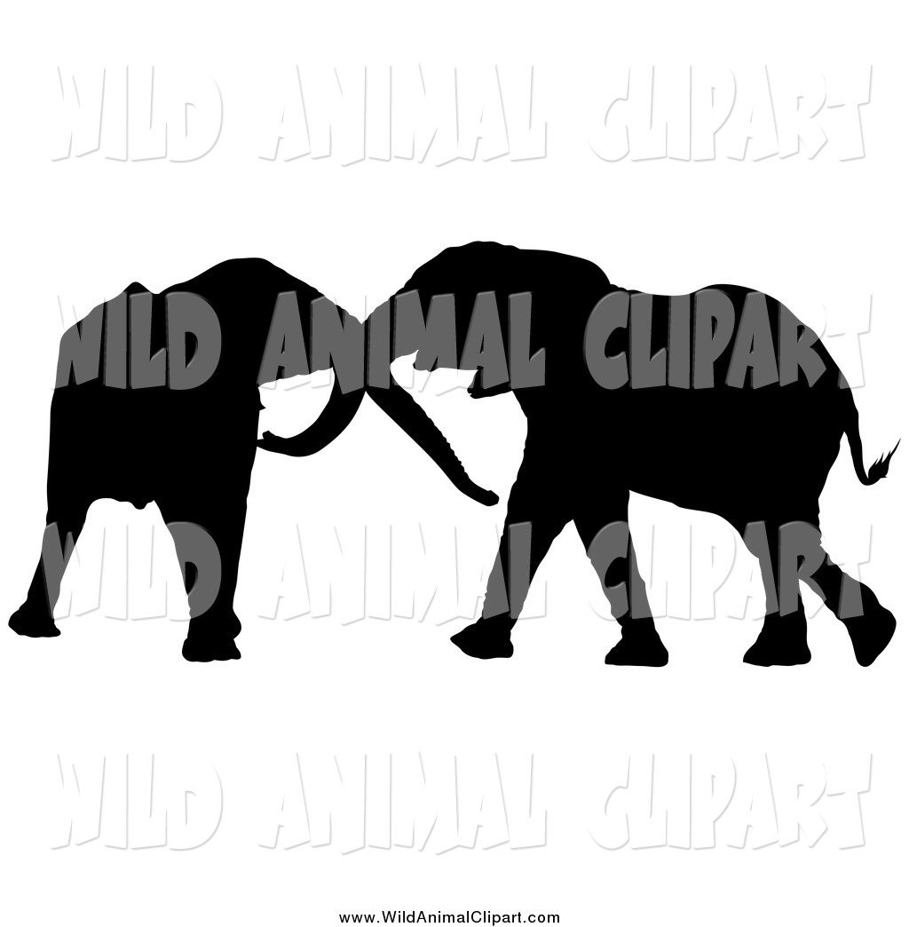 clipart elephant pair
