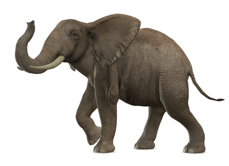 clipart elephant side view