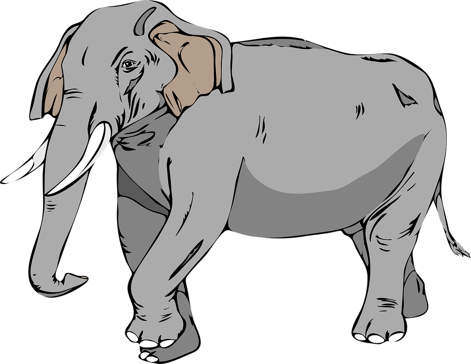food clipart elephant