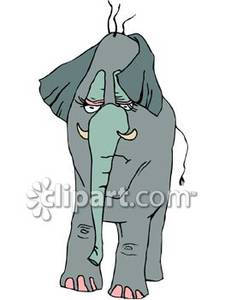 A royalty free picture. Elephant clipart tired