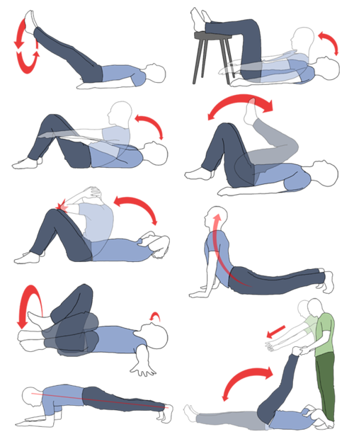 exercising clipart flexibility exercise
