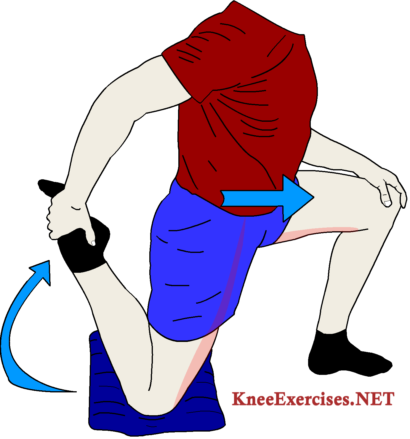 Knee exercises archives . Exercise clipart squat exercise