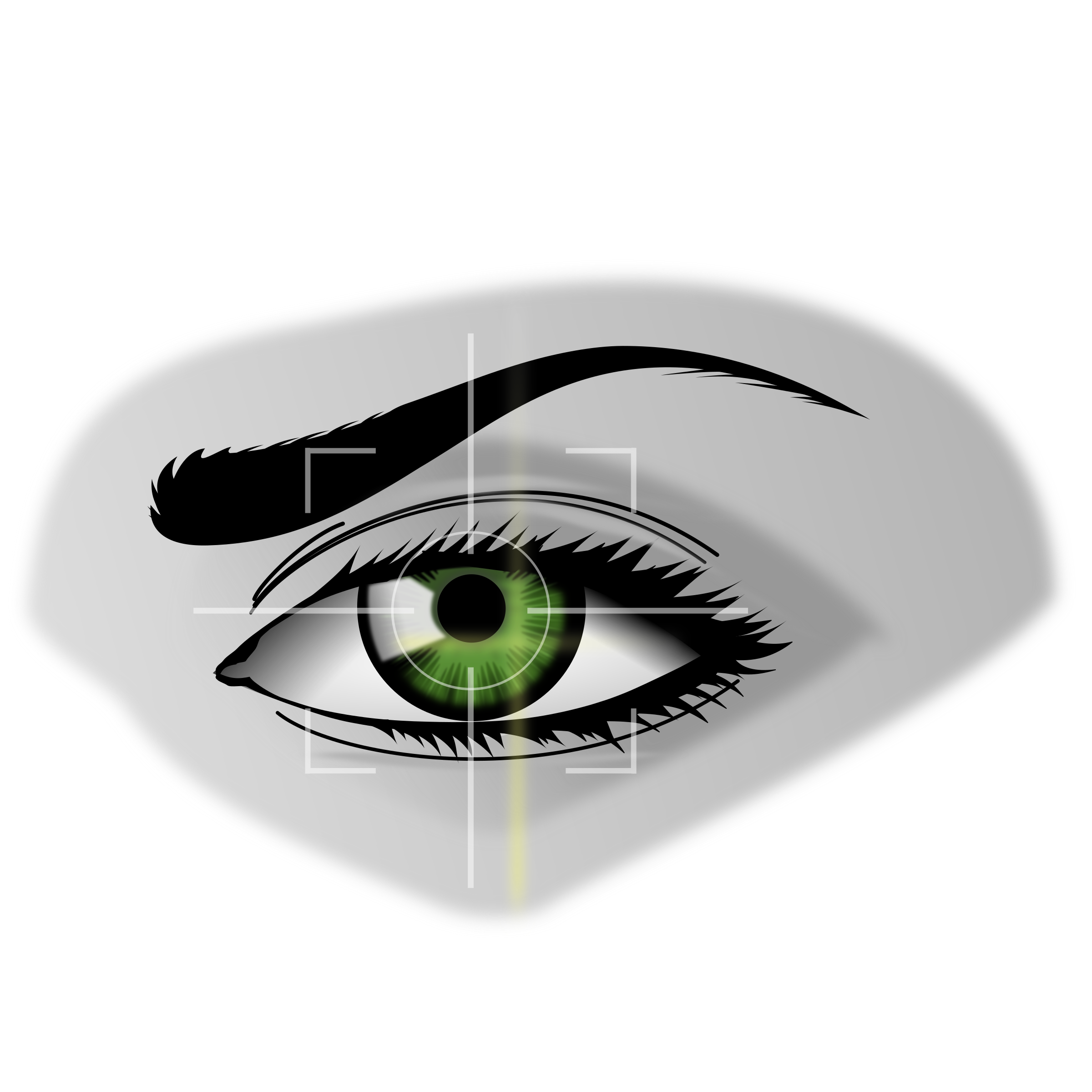 eyelash clipart female eye