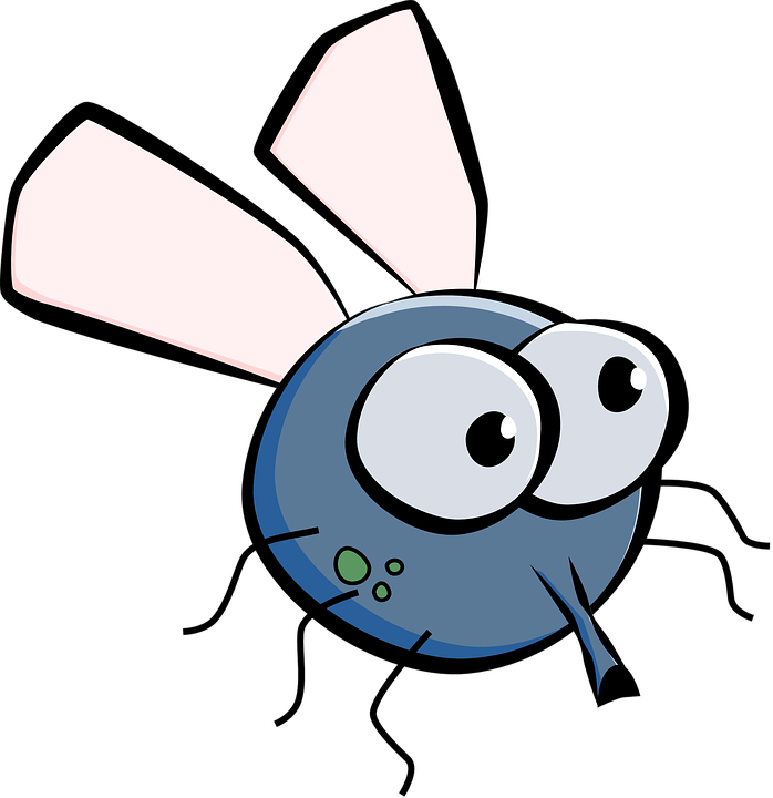 Mosquito clipart annoying fly. Dessin mouche pinterest