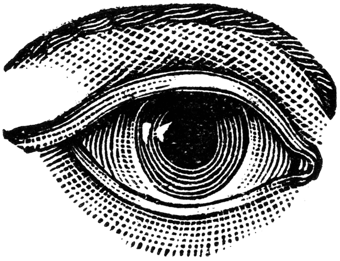 Icon see clearly now. Eyeball clipart eye sketch