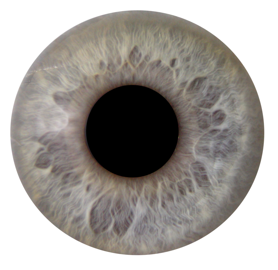 Eyes clipart human eye. Iris anica by njakstudio