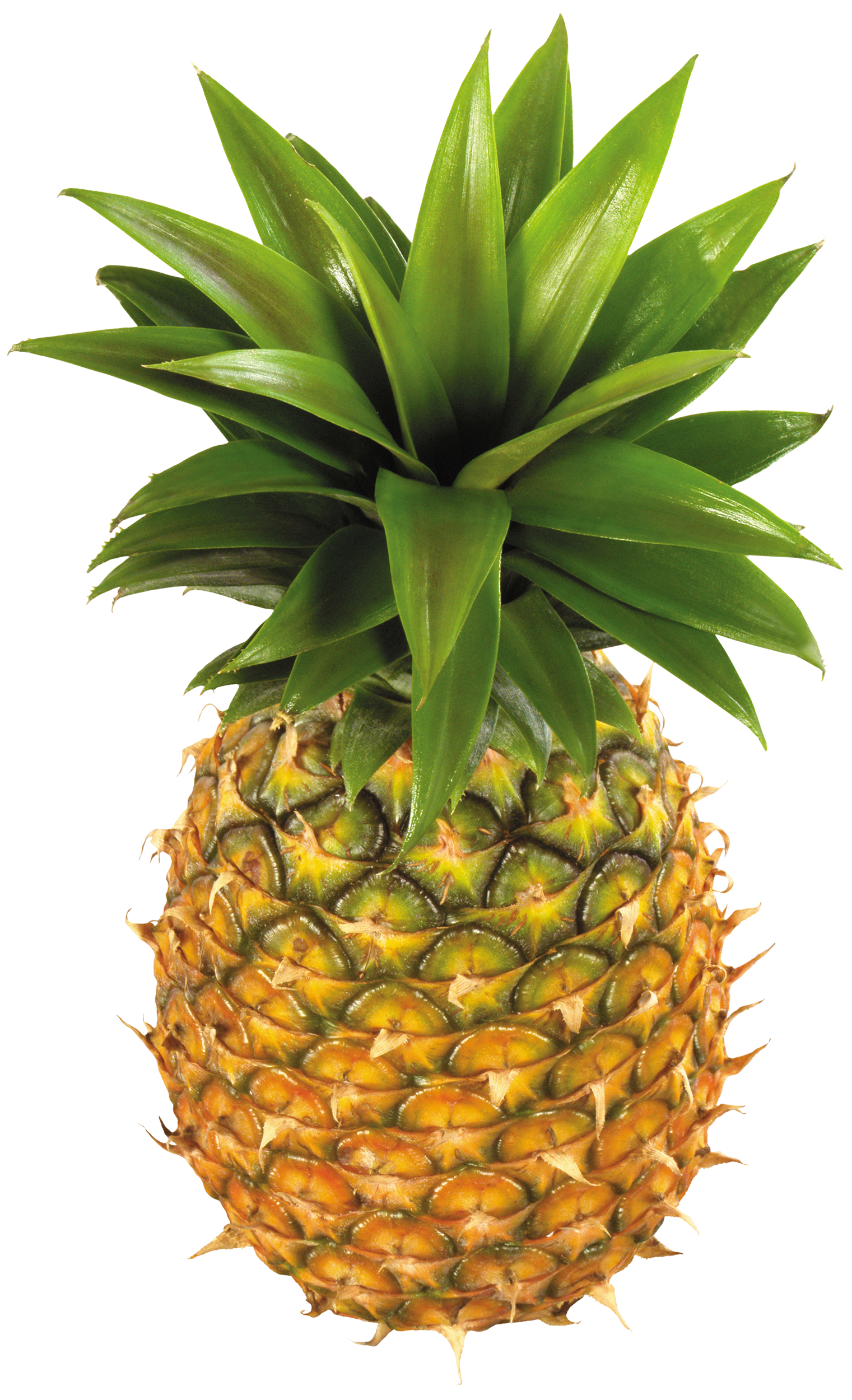 faces clipart pineapple