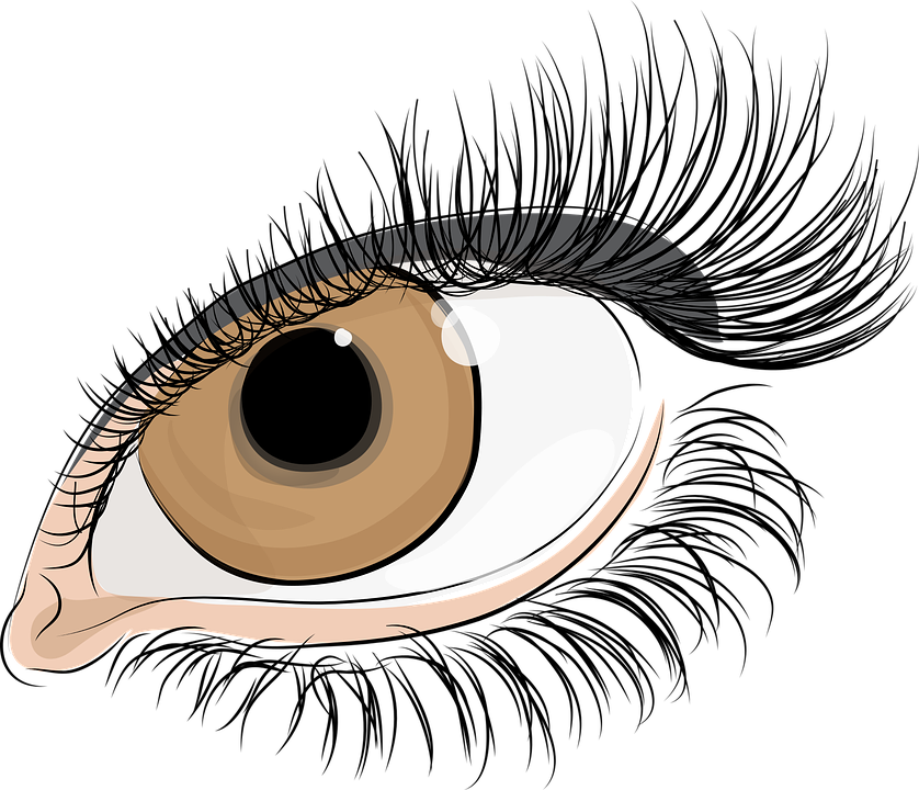 Clipart eyes brow. Eyelashes cliparts shop of