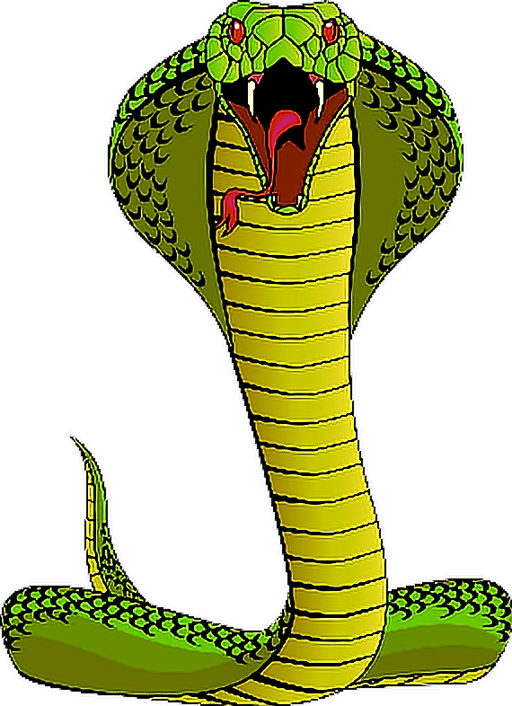 cobra clipart king cobra