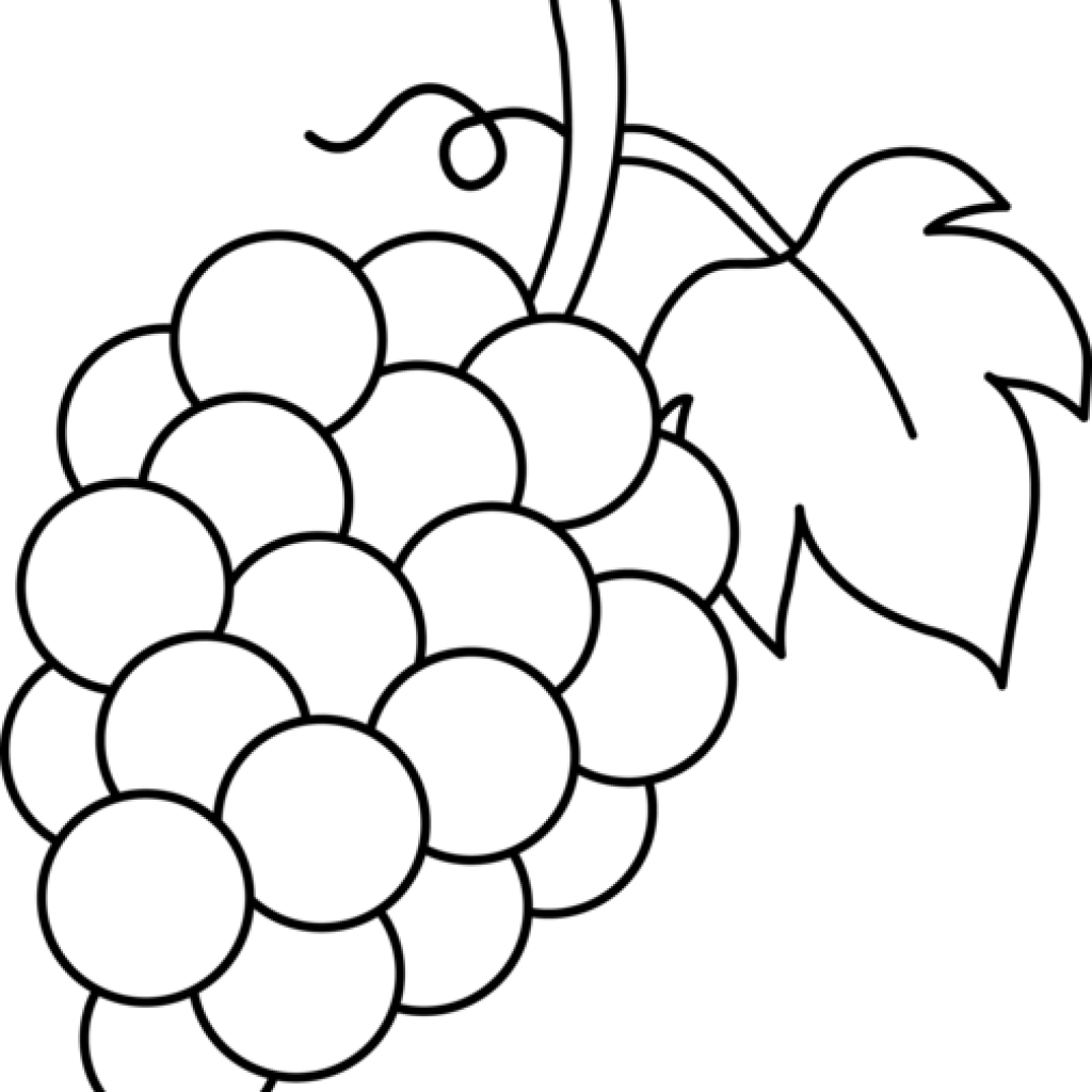 grape clipart drawing