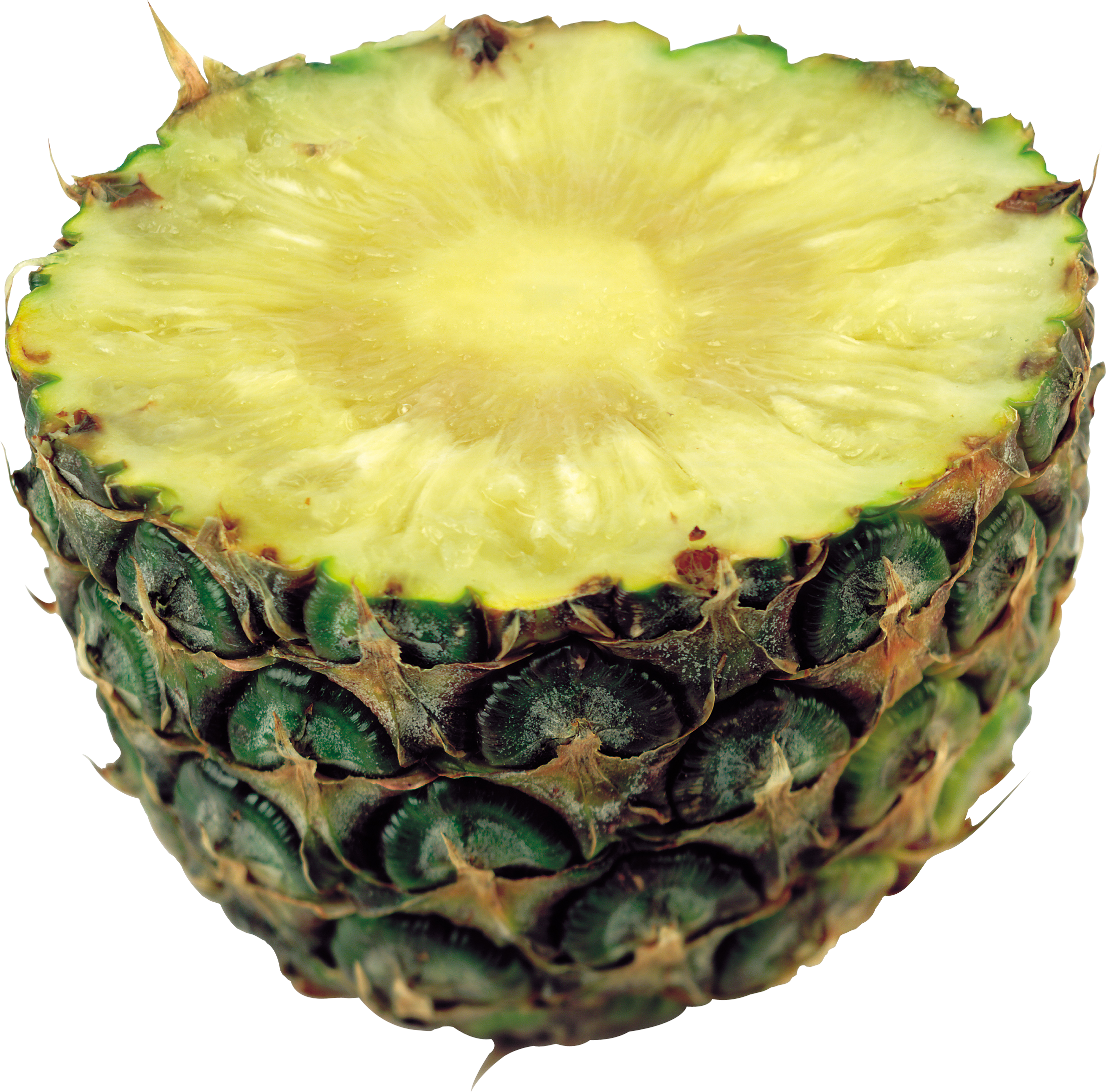 pineapple clipart eye