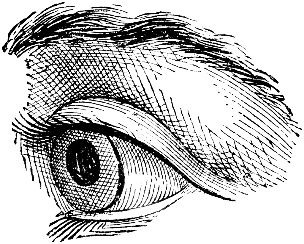 Eyeball clipart eye sketch. Etc jekyll and hyde