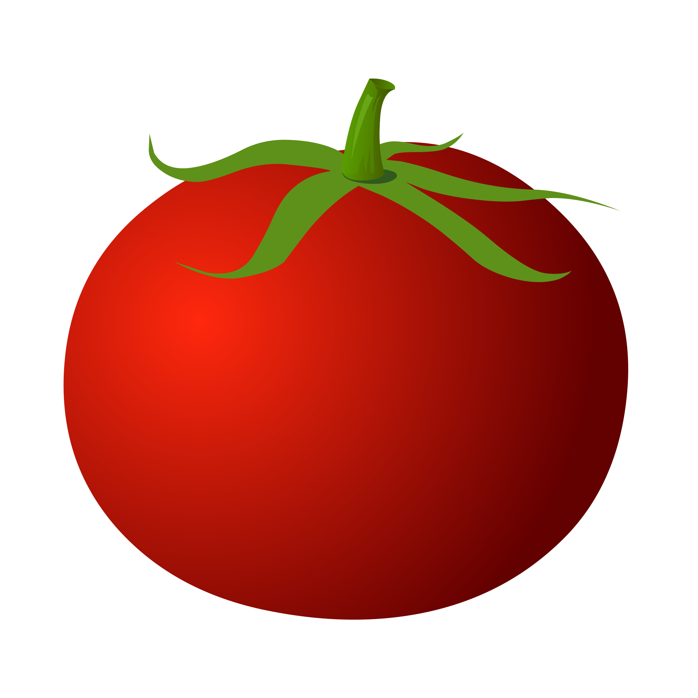 Tomatoes panda free images. Clipart png tomato
