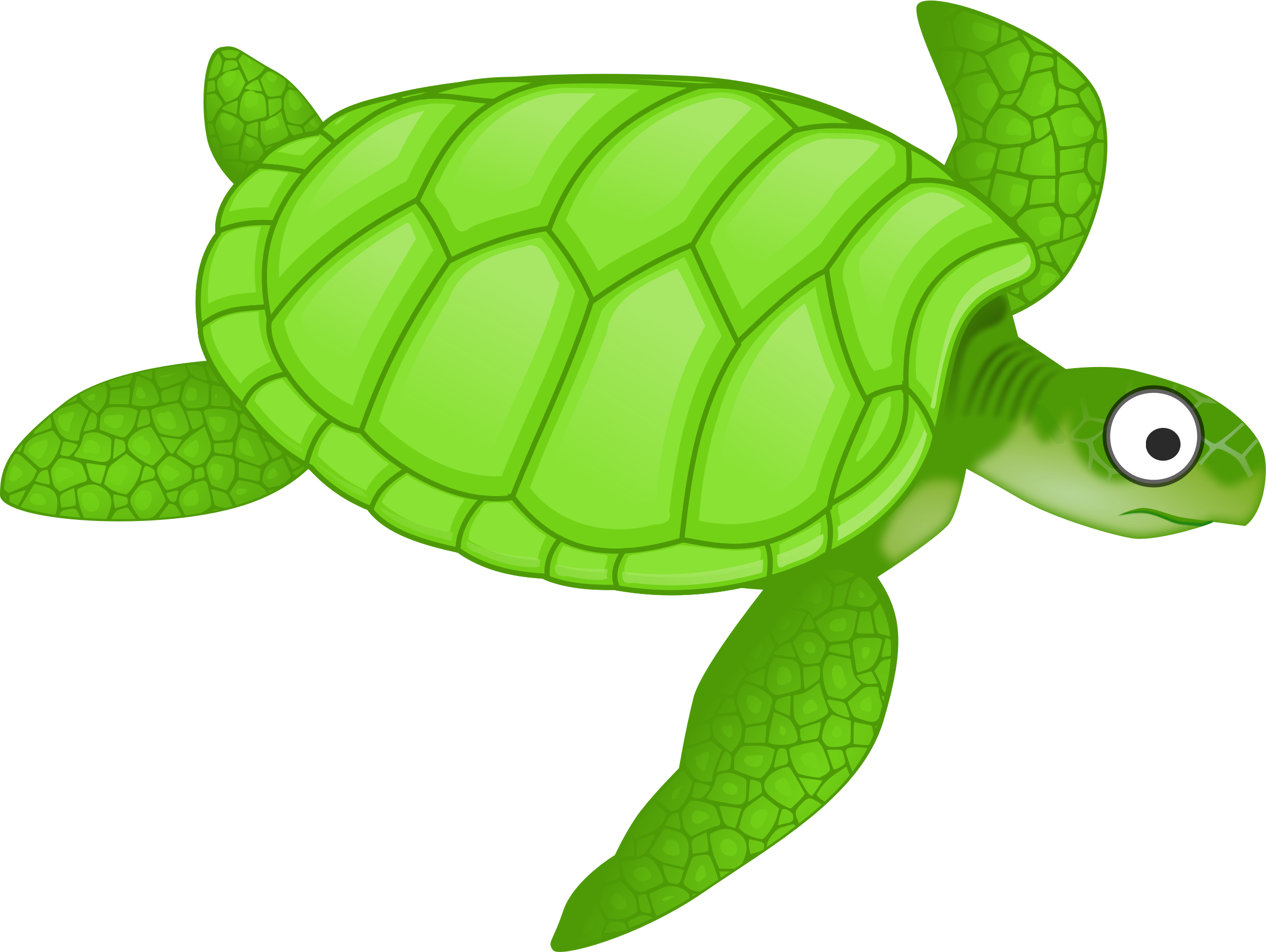 clipart turtle run
