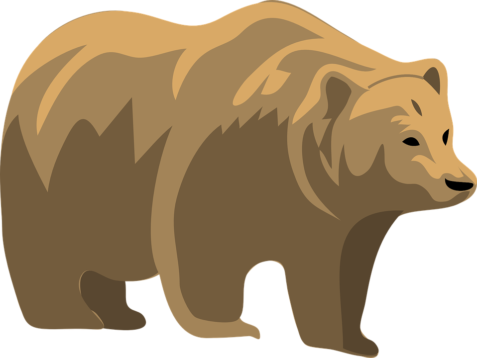 Grizzly bear free on. Bears clipart transparent