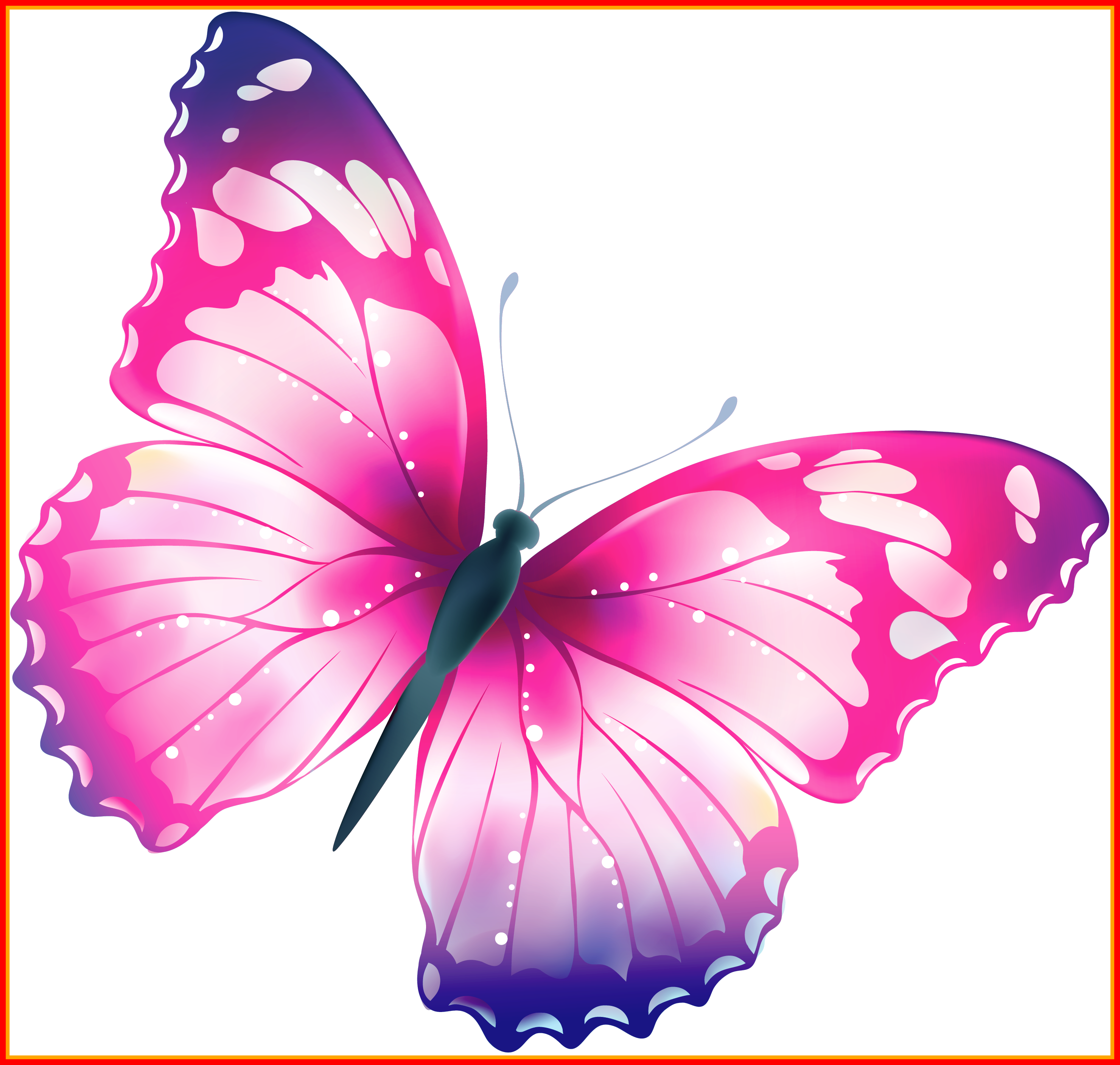 face clipart butterfly