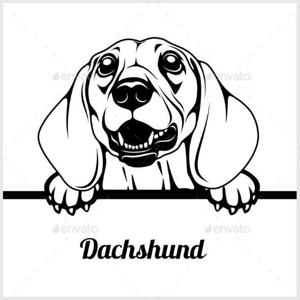 dachshund clipart face