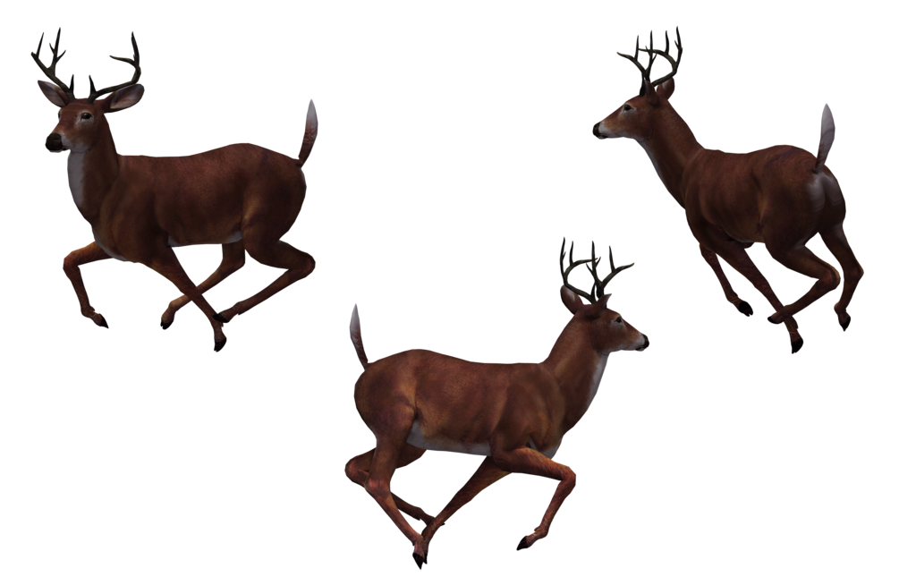 Deer clipart buck. At getdrawings com free