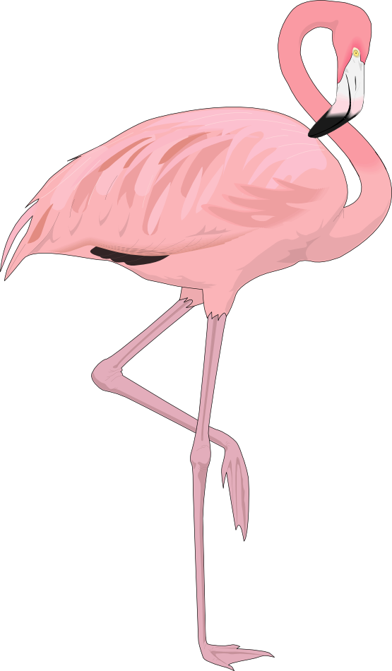 flamingo clipart silhouette
