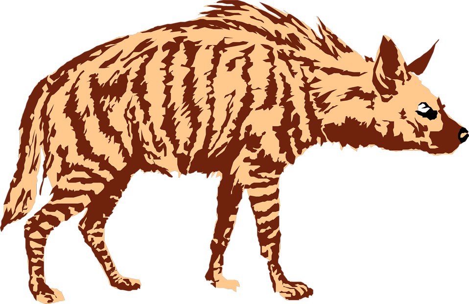 Png images free download. Head clipart hyena