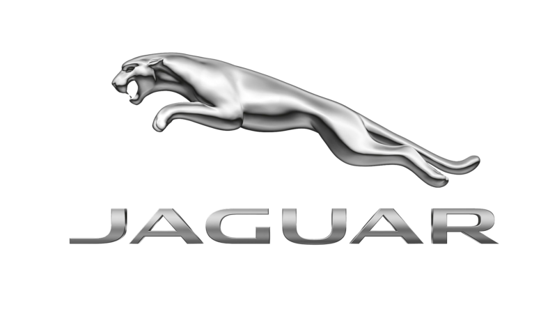 clipart face jaguar