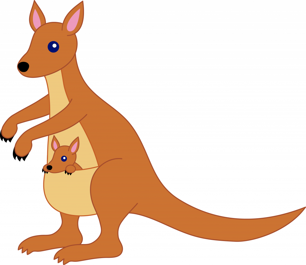 Alert famous pic of. Kangaroo clipart colouring page
