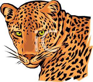 leopard clipart leopard face