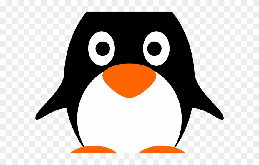 King penquin png . Clipart penguin face