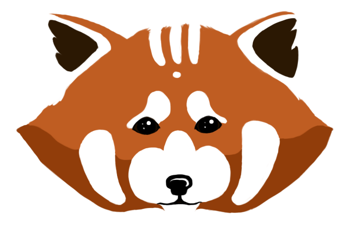 Head red panda