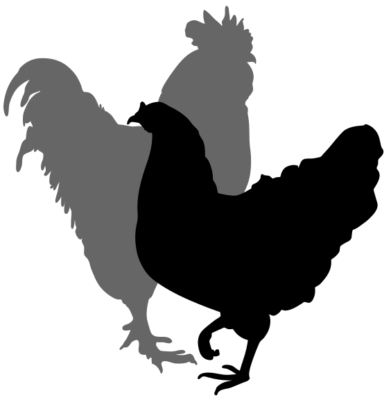 Fighting clipart silhouette. Rooster at getdrawings com
