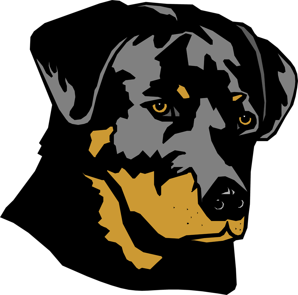 Face clipart rottweiler, Face rottweiler Transparent FREE for download