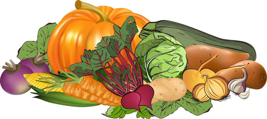 Squash realistic free on. Clipart vegetables vege