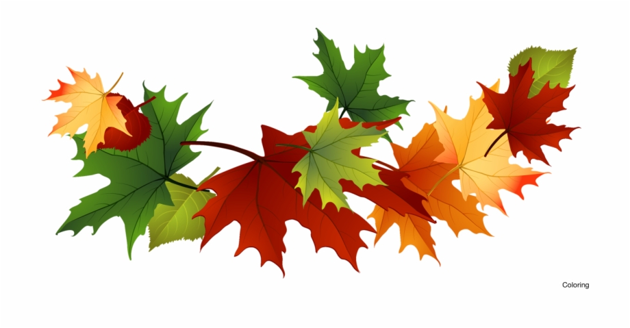 Majestic autumn fall clip. Leaves clipart transparent background