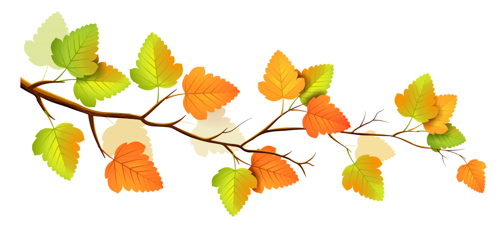 Fall branches for decorations. Decorative clipart autumn