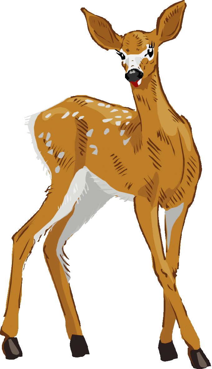 Images free siewalls co. Clipart fall deer