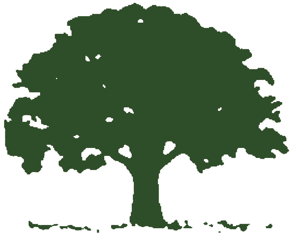 Clipart forest oak tree. Logo google search string
