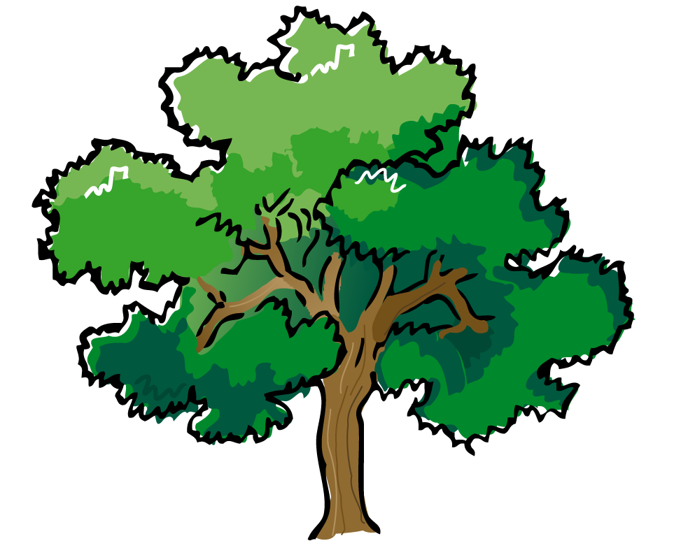 Web design development pinterest. Life clipart oak tree