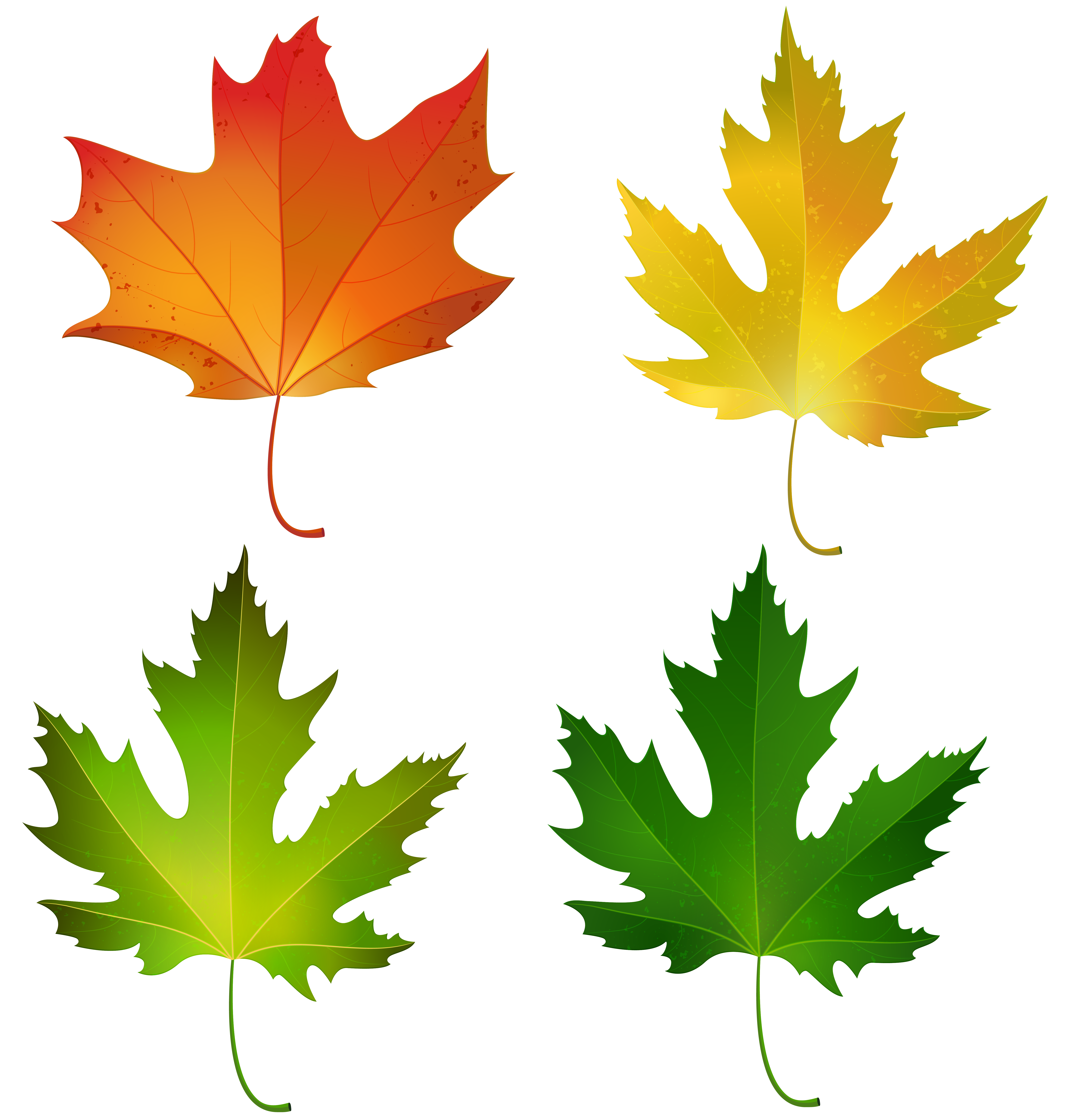 clipart leaves summer