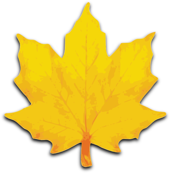 clipart leaf winter